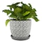 Trenspot Trendspot Tribeca 7.3 in. H X 8.3 in. W X 8.3 in. D X 8 in. D Ceramic Planter Charcoal CR01178S-08H2 - alternate 2